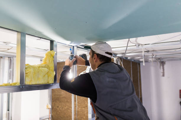 Best Home Insulation Services  in Cordova, NC