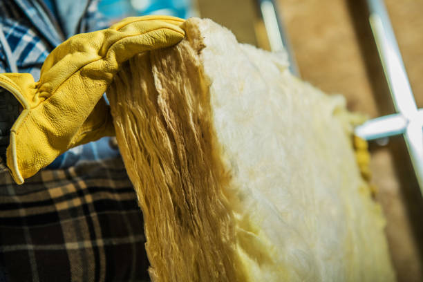 Best Insulation Contractors for Homes  in Cordova, NC