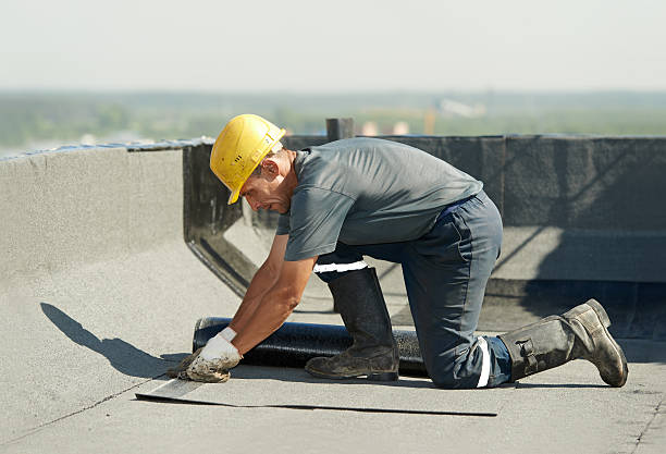Best Attic Insulation Installation  in Cordova, NC
